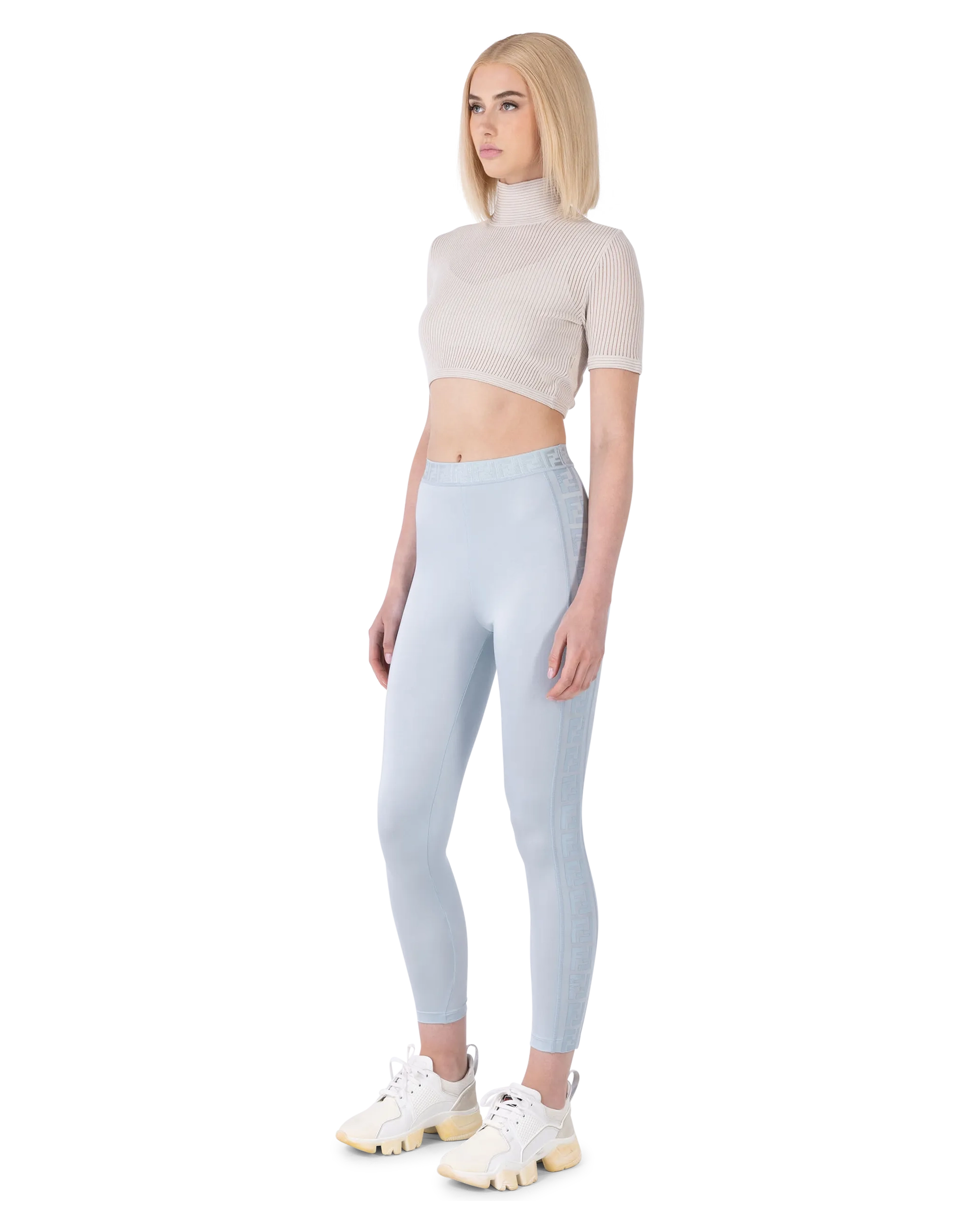 Semi-Sheer Turtleneck Crop Top