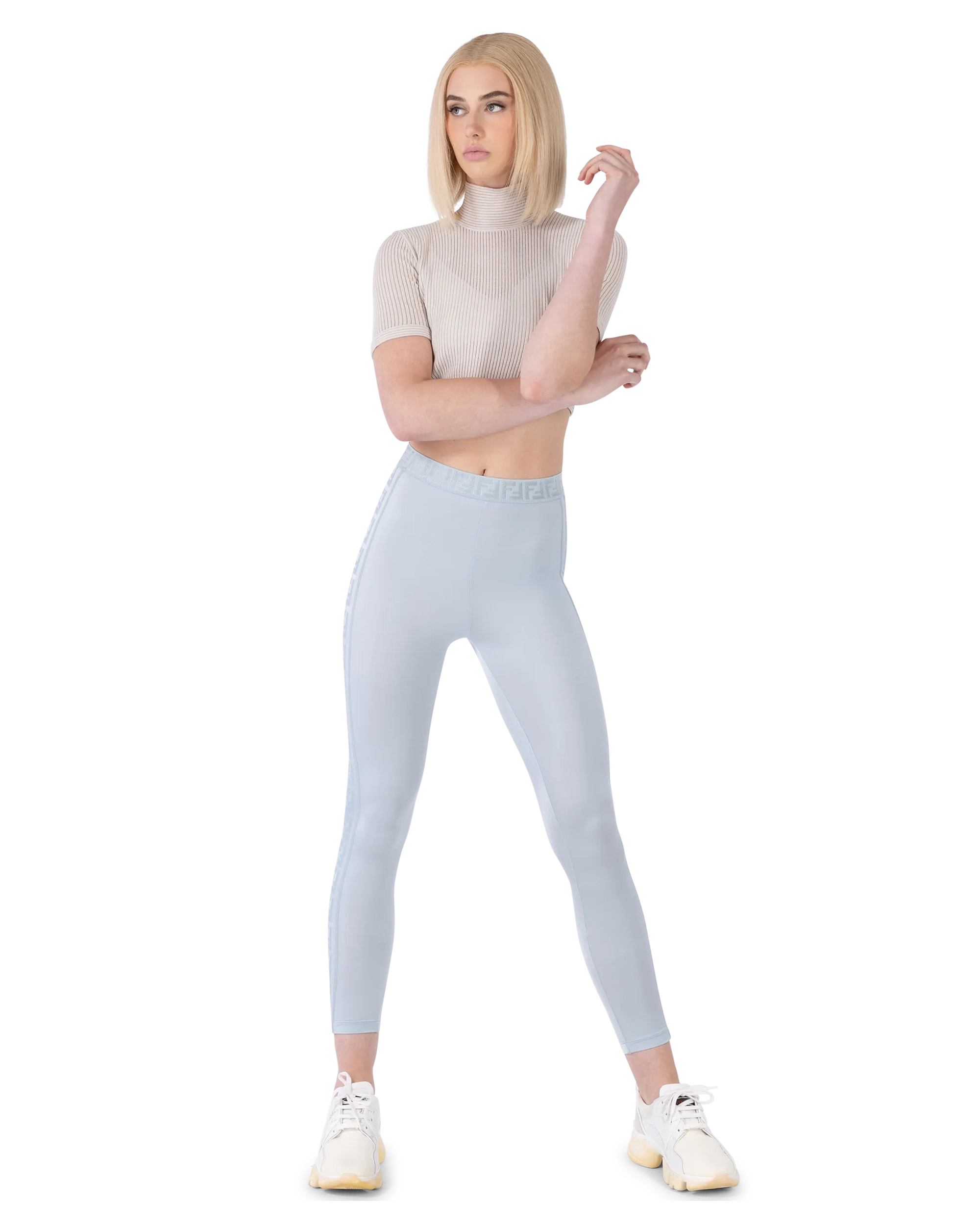 Semi-Sheer Turtleneck Crop Top