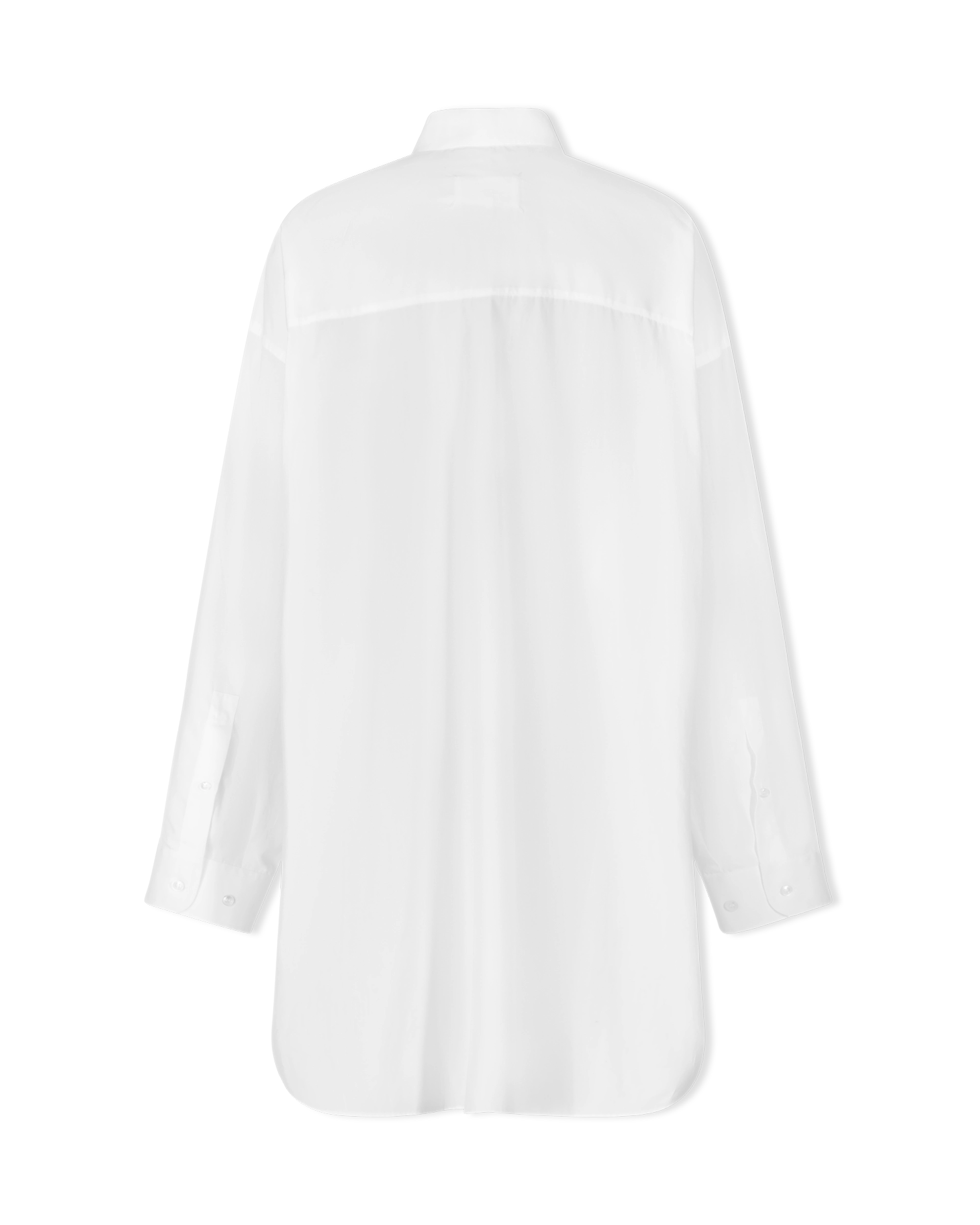 Semi-Sheer Shirt Dress